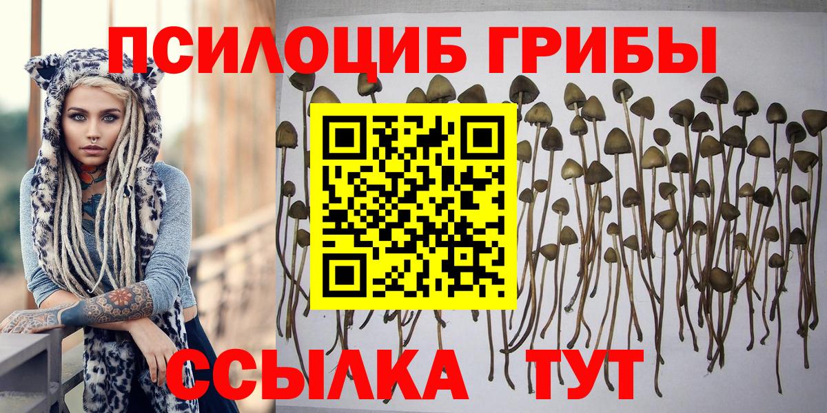 Верхняя Пышма  Псилоцибиновые грибы мухоморы  Вход с VPN 